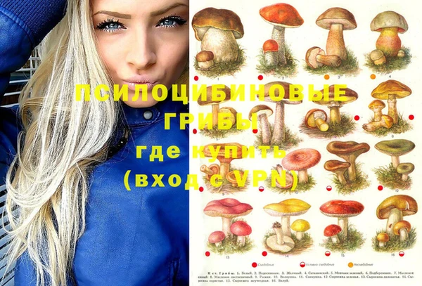 синтетический гашиш Алексеевка