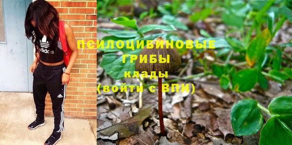 крисы Алексин