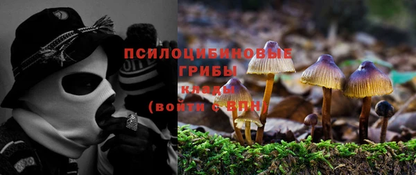 spice Алзамай