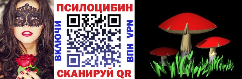 Псилоцибиновые грибы Magic Shrooms  как найти закладки  Ленинск 